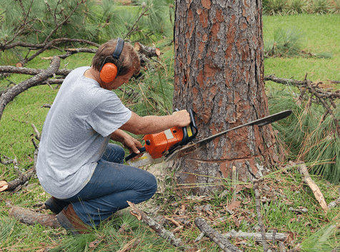 tree removal