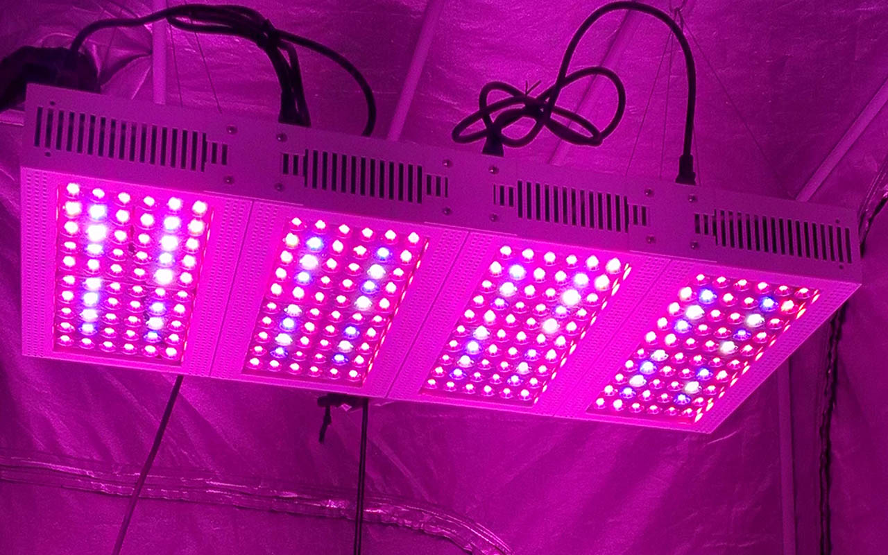 Best Led Grow Lights