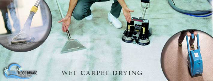 carpet drying Melbourne