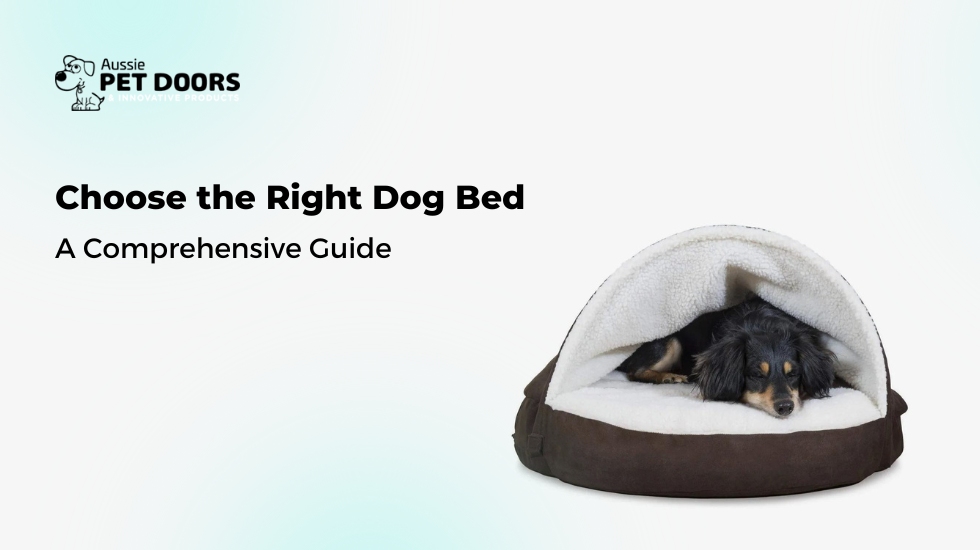 Choose the Right Dog Bed A Comprehensive Guide