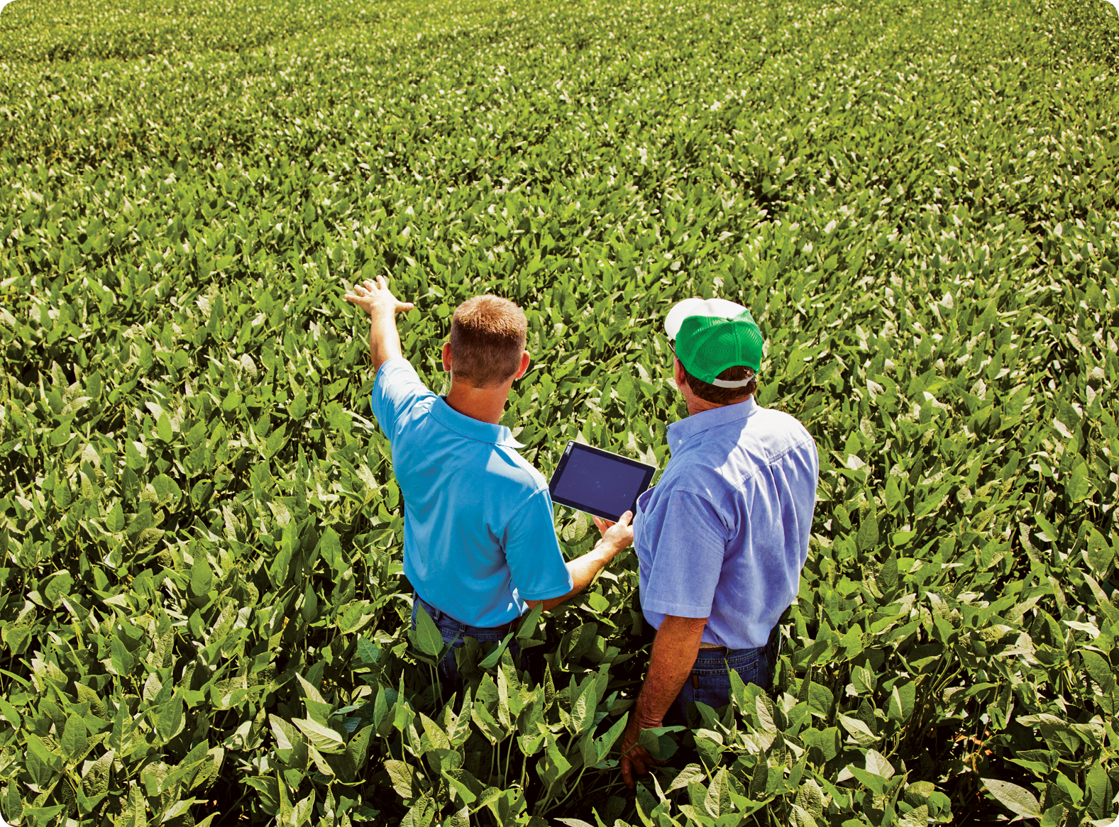 farming management software service